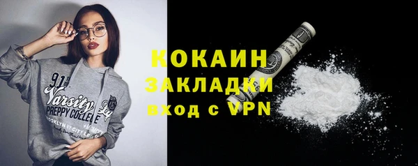 индика Абинск