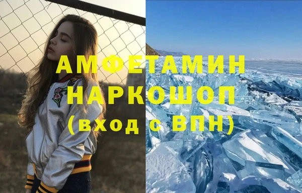 шишки Белая Холуница