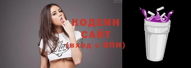 индика Абинск