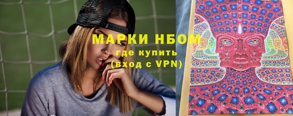 индика Абинск