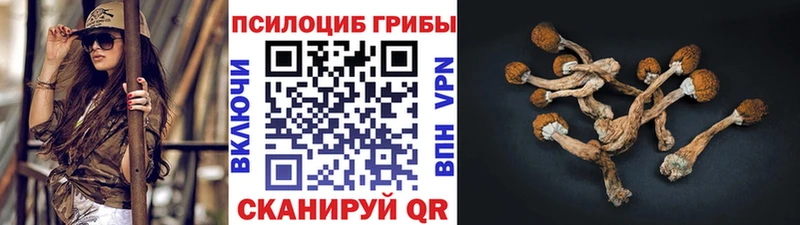 Галлюциногенные грибы GOLDEN TEACHER  kraken зеркало  Агидель 
